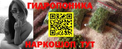 индика Кунгур