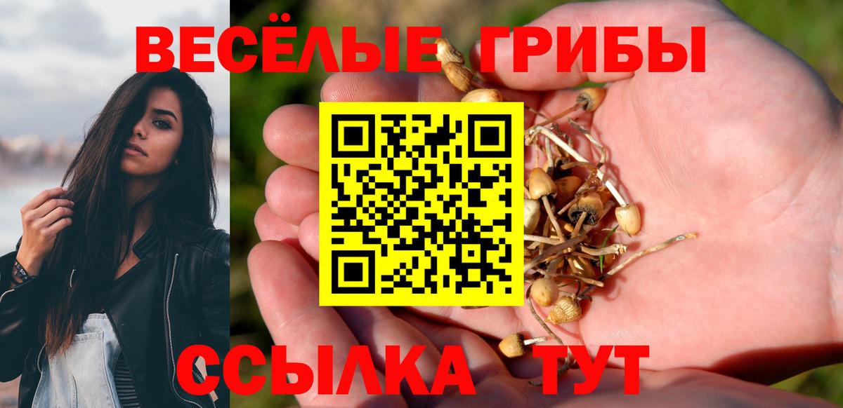 Галлюциногенные грибы мицелий Бирск