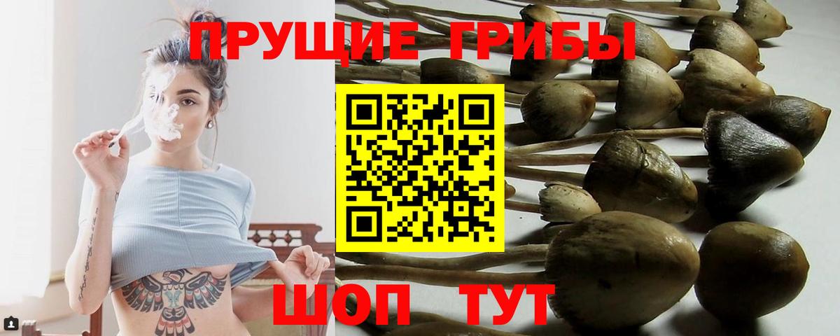 сколько стоит  Псилоцибиновые грибы ЛСД  Вход с VPN  Бирск 